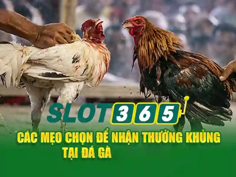 Trải Nghiệm Slot365 Casino