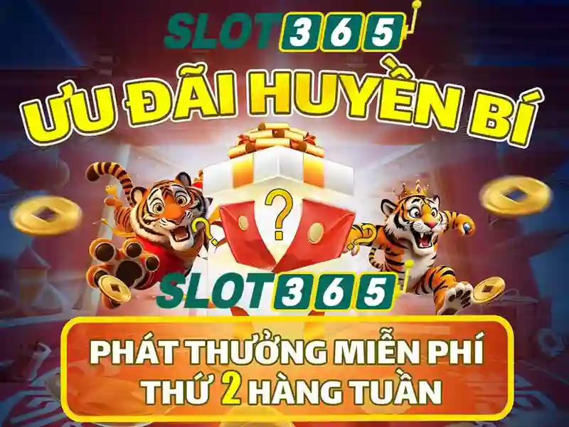 Hướng dẫn giao dịch