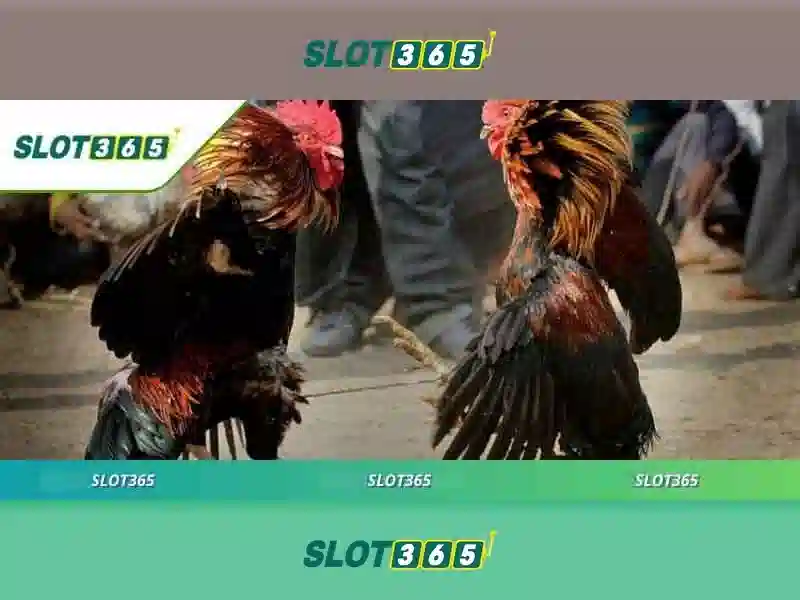 SLOT365 Login
