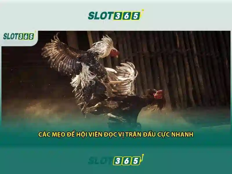 Tải ứng dụng Slot365 cho điện thoại và máy tính