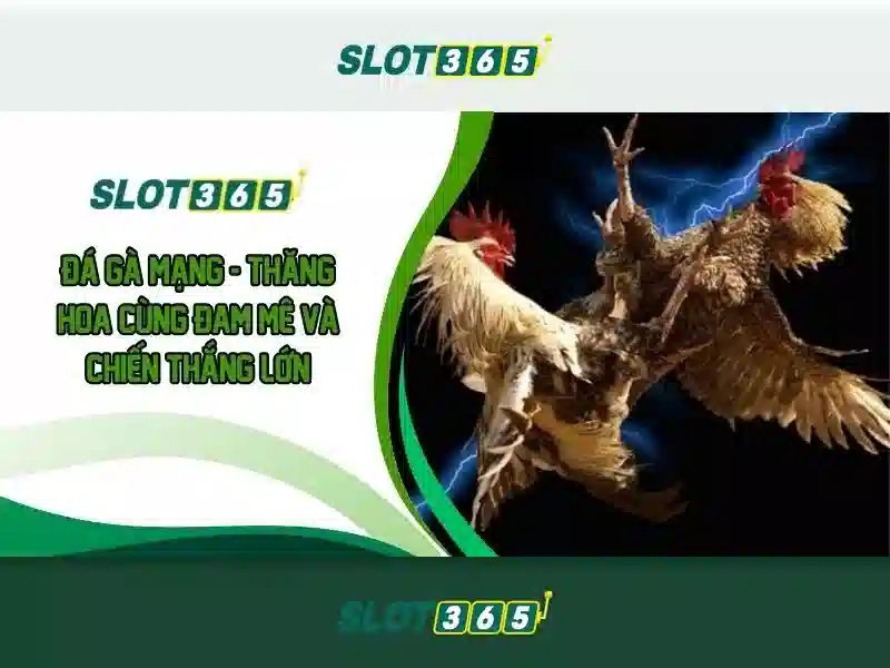 ưu đãi Slot365