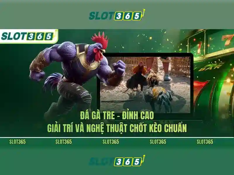 Ưu Đãi Slot365