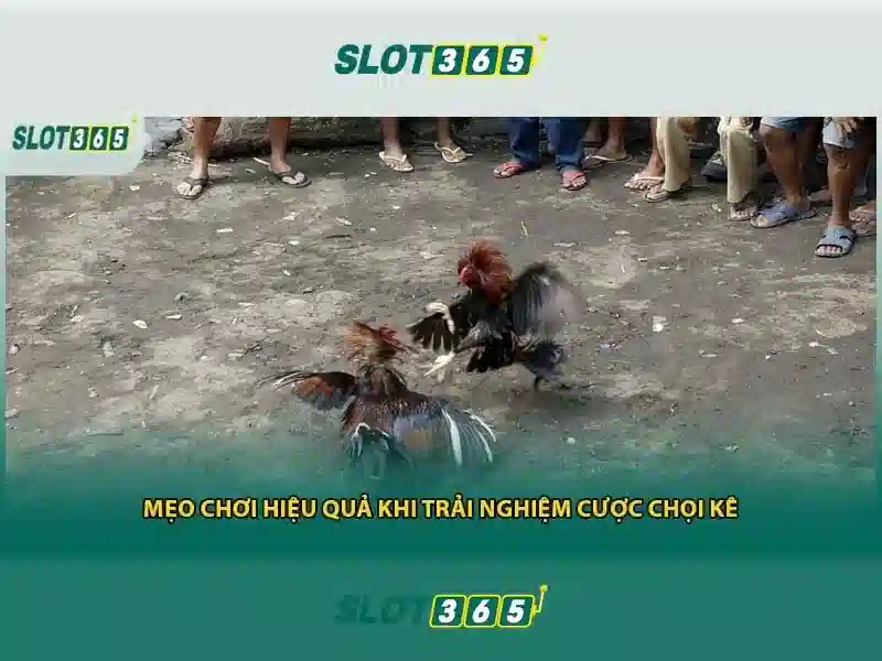 Hỗ trợ Slot365 24/7