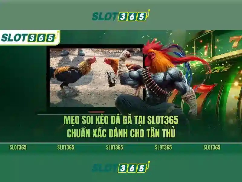 Cách Thức Nhận Ưu Đãi Slot365