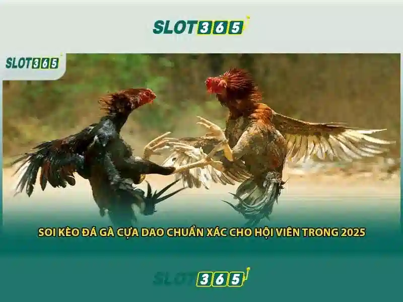 Tải App Slot365