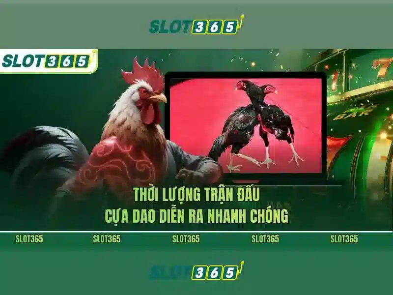 Ưu Điểm Của SLOT365