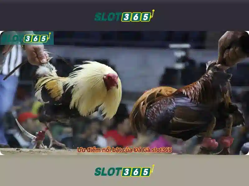 Khuyến Mãi Slot365