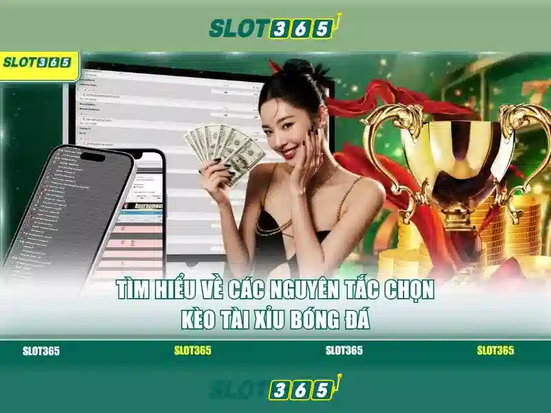 Đặc Điểm Nổi Bật