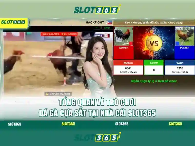 trải nghiệm cá cược Slot365