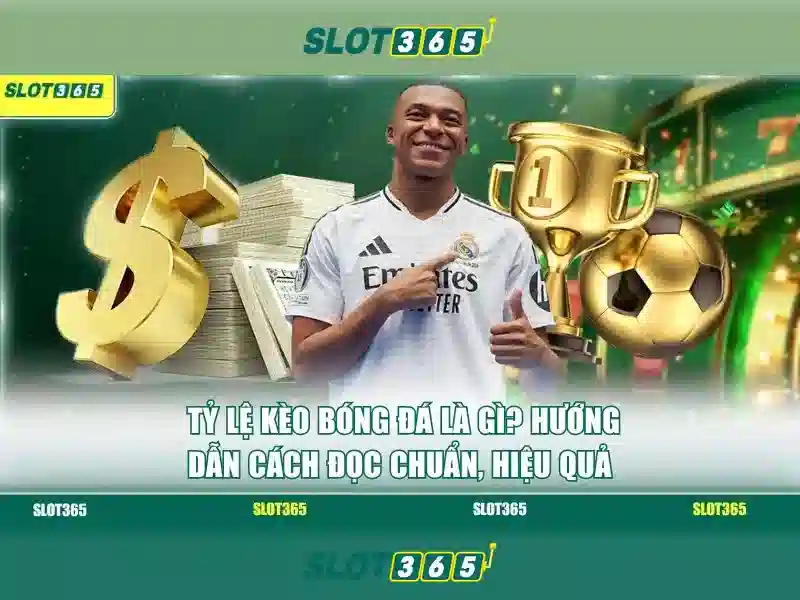 SLOT365: Hướng Dẫn Chi Tiết Về Live Slot365 và Lưu Ý Quan Trọng