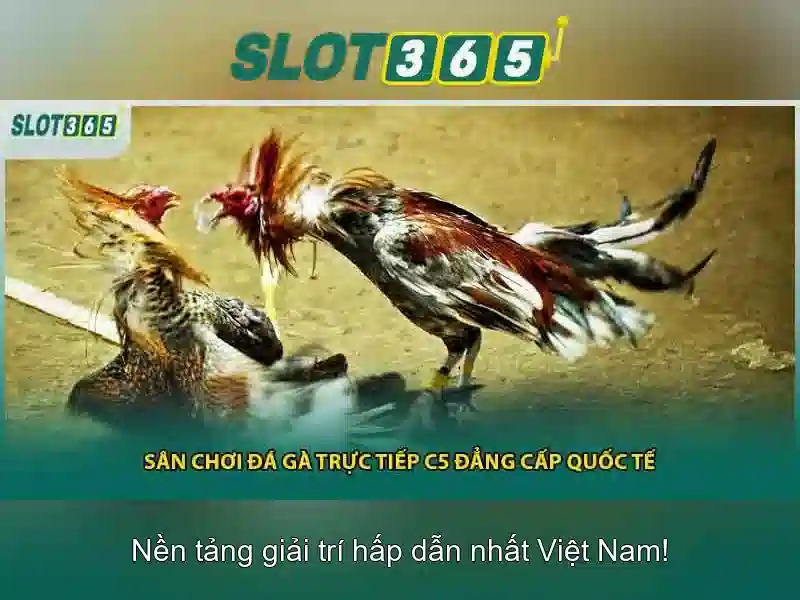 rút tiền nhanh SLOT365