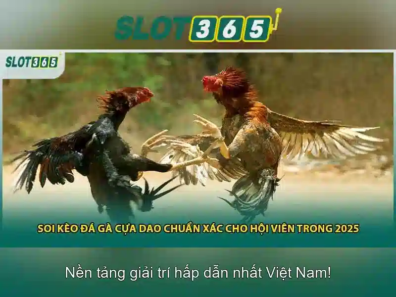 Điểm Nổi Bật Slot365 Bị Chặn 2026