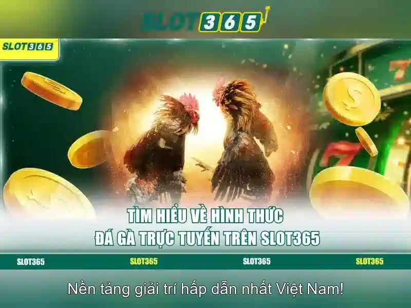 SLOT365 – Nền Tảng Cá Cược Trực Tuyến Uy Tín Hàng Đầu