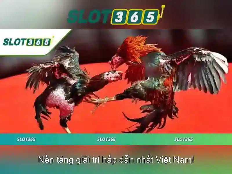 Trải nghiệm Slot365 tại nhà cái SLOT365