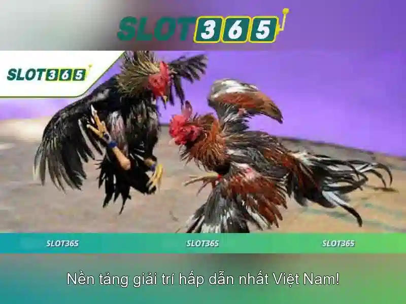 Cách Truy Cập Trang Chủ Slot365