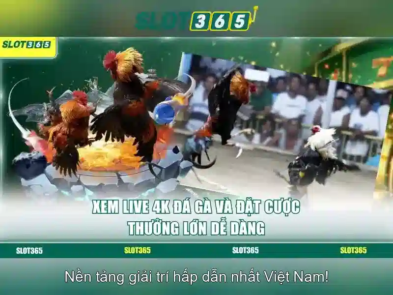 Trải Nghiệm Slot365 Alternatif