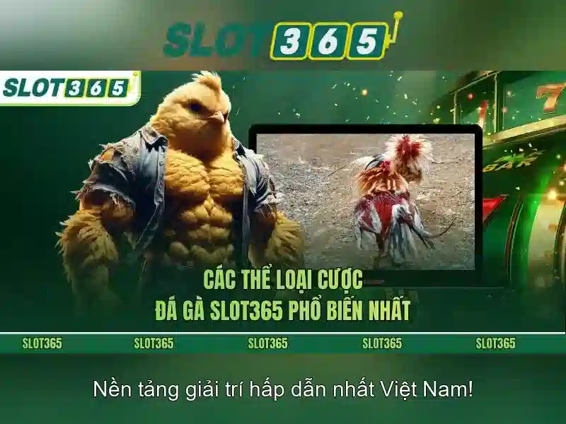 hướng dẫn rút thưởng Slot365