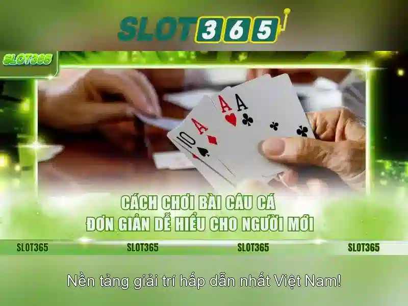 Điều khoản Slot365
