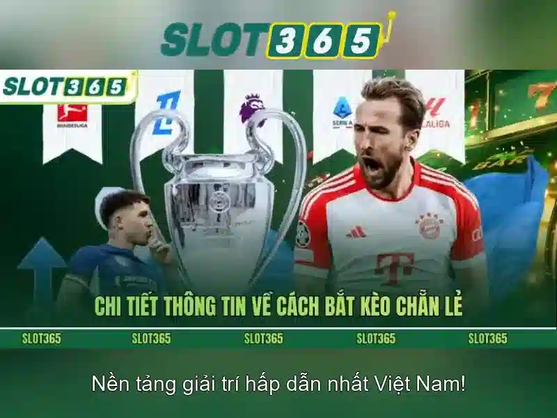 Giới Thiệu Về Slot365