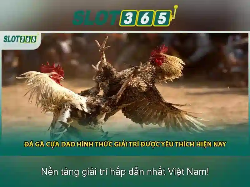 Điều khoản và điều kiện SLOT365