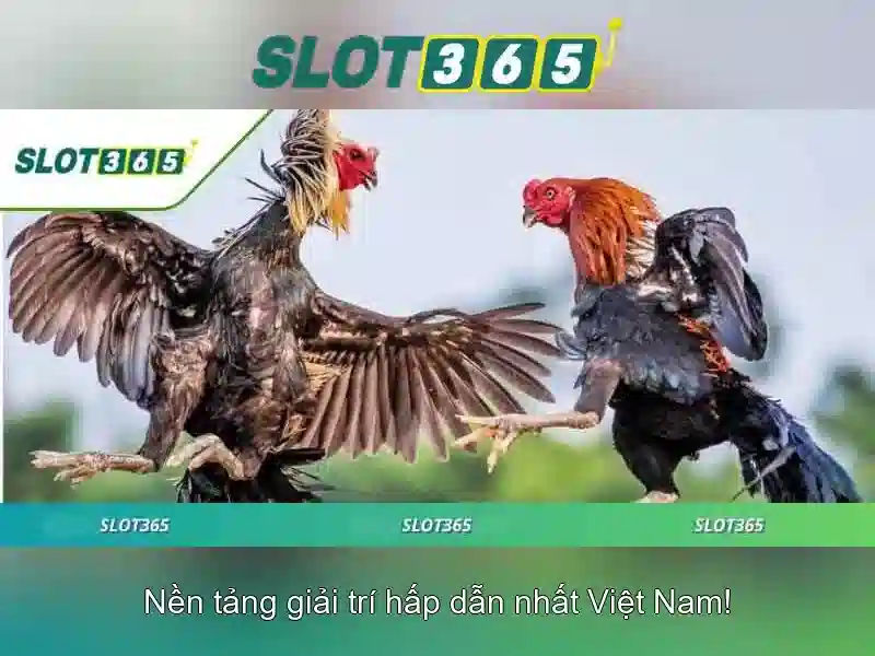 SLOT365 Games