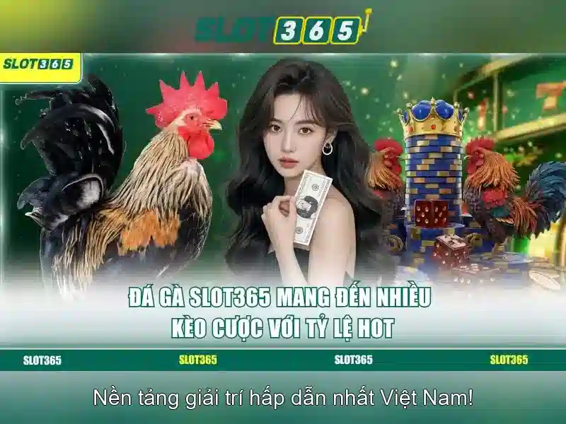 ưu đãi Slot365