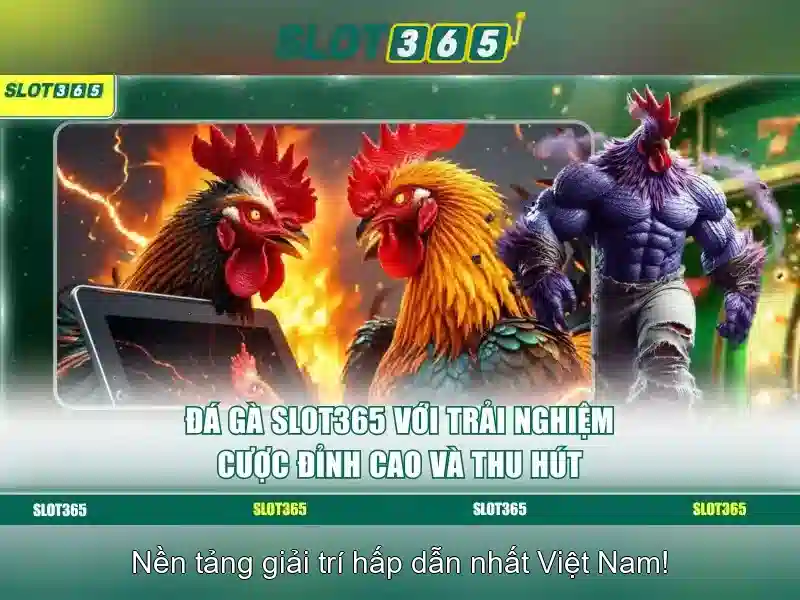 code Slot365 mới nhất