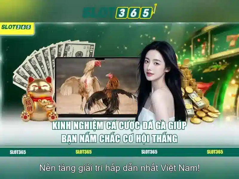 SLOT365 – Trải Nghiệm Slot Đỉnh Cao