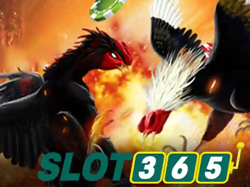 slot365 đăng nhập – Trang Chủ Slot365 – Ưu Đãi Cập Nhật 2026