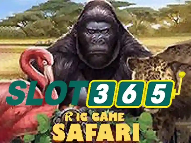 slot365 không bị chặn
